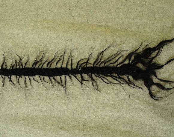 Presentación de portafolios de Gina Santos y Miranda Varo