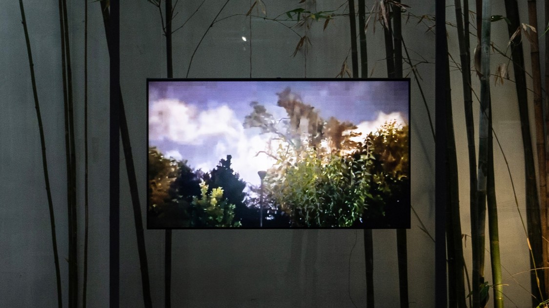 Astronautas, música y tremulaciones