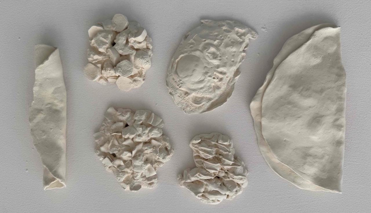 Alejandra Villa | Estudio abierto