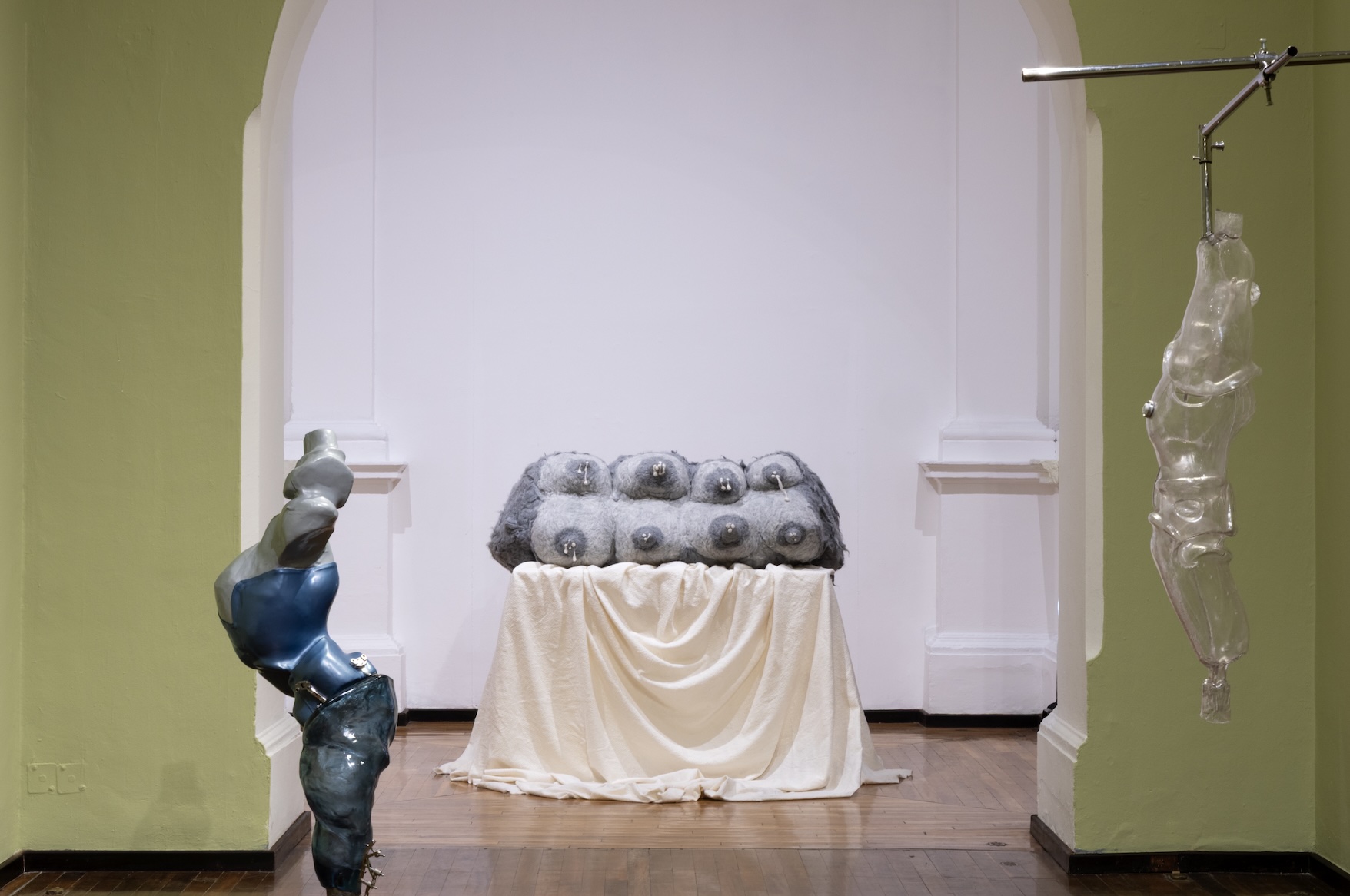 Attention Fixed on Mutation: On “Deseos Diferentes” at Museo Cabañas