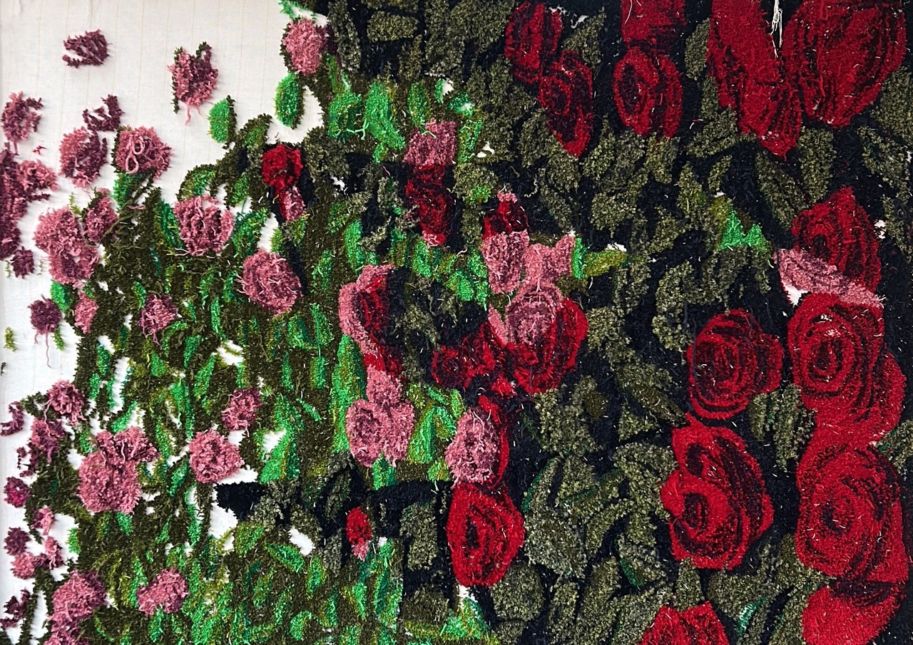 Estudios abiertos - Image 2