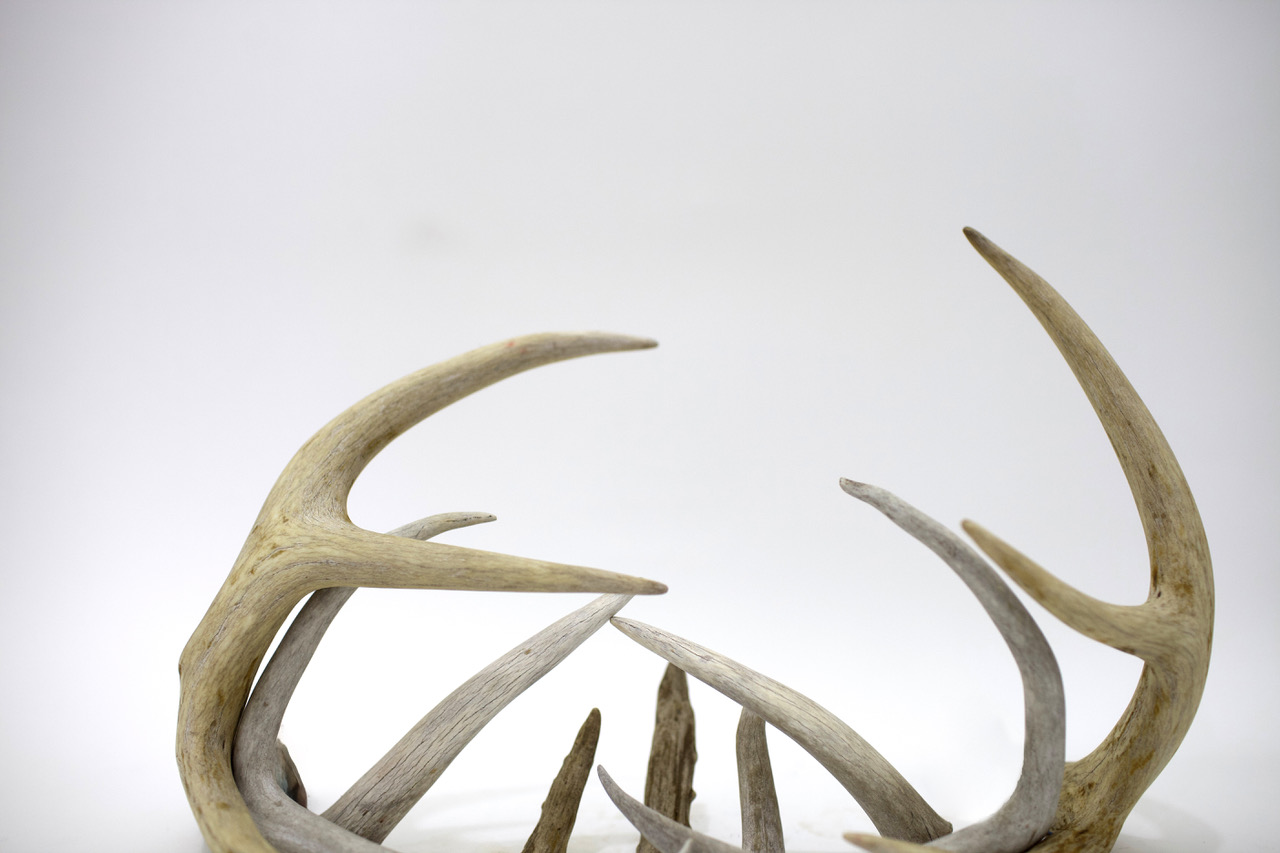 El palacio a las 4 de la mañana