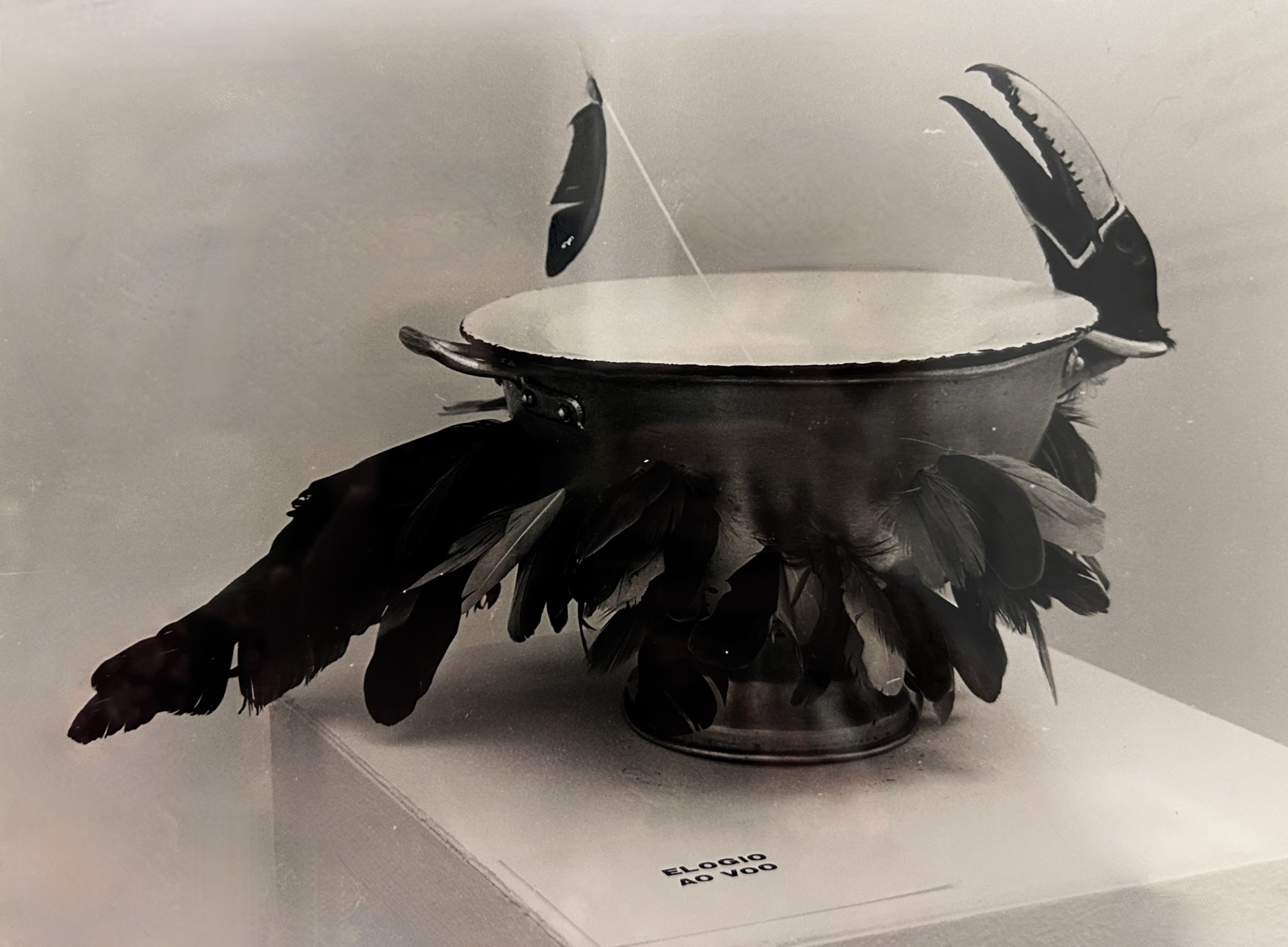 Exhibition view, "No-Objetualismos. Hacia un pensamiento visual independiente", Museo Universitario del Chopo. Photography: Onda MX.
