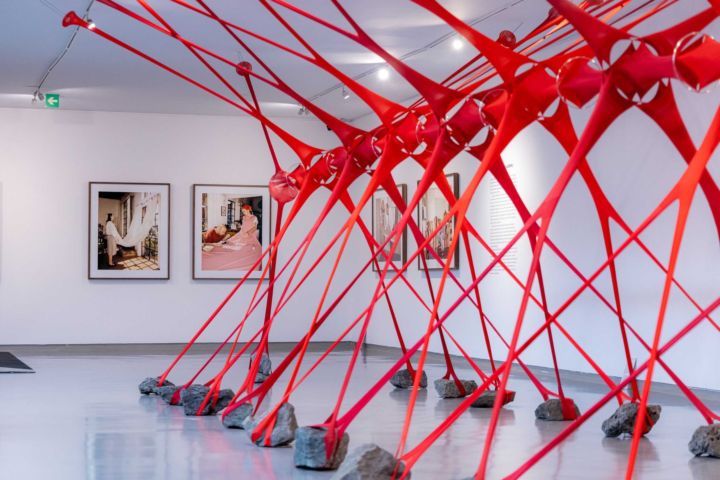 Where's the trick? María Ezcurra at Museo de Arte Carrillo Gil