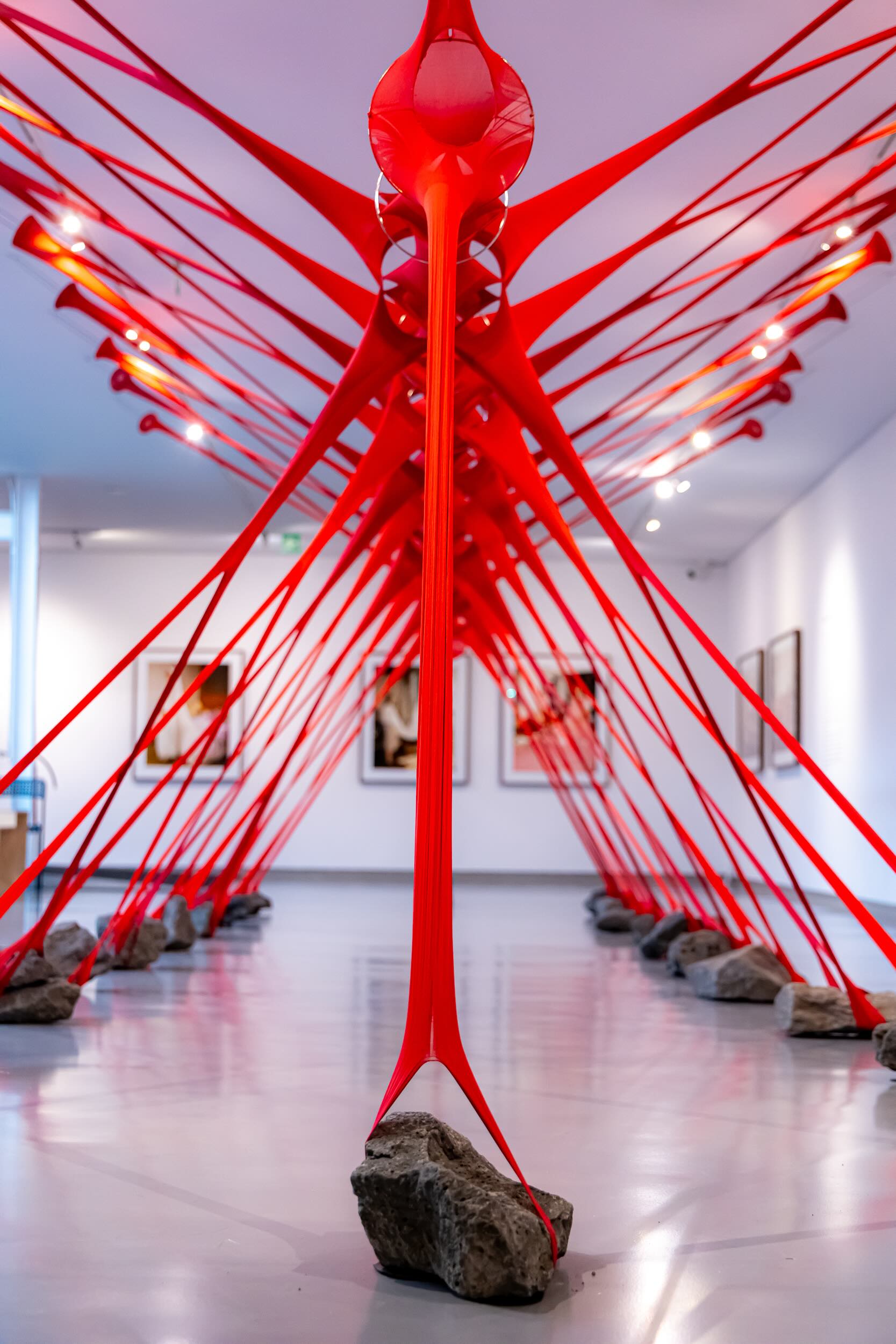 María Ezcurra, “Líneas de fuga”, exhibition view. Photograph by Javier Galván/MACG 