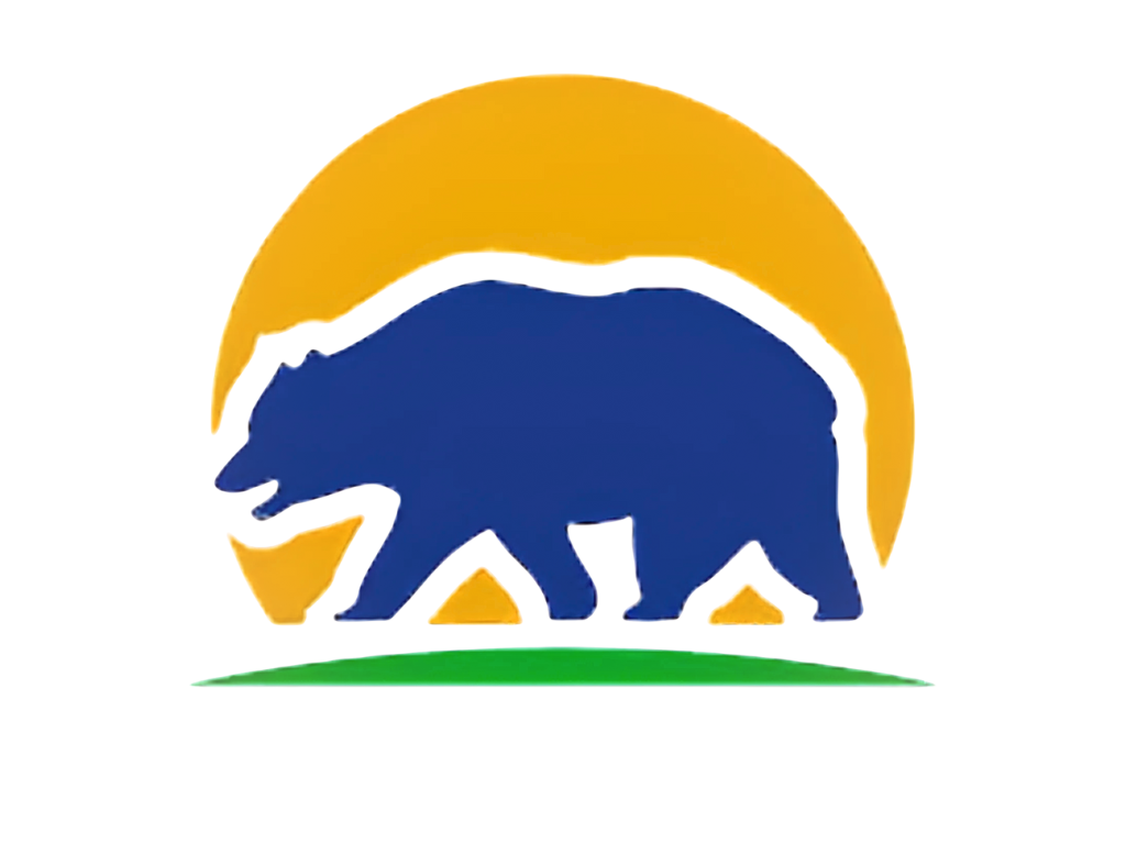VA Studio Logo
