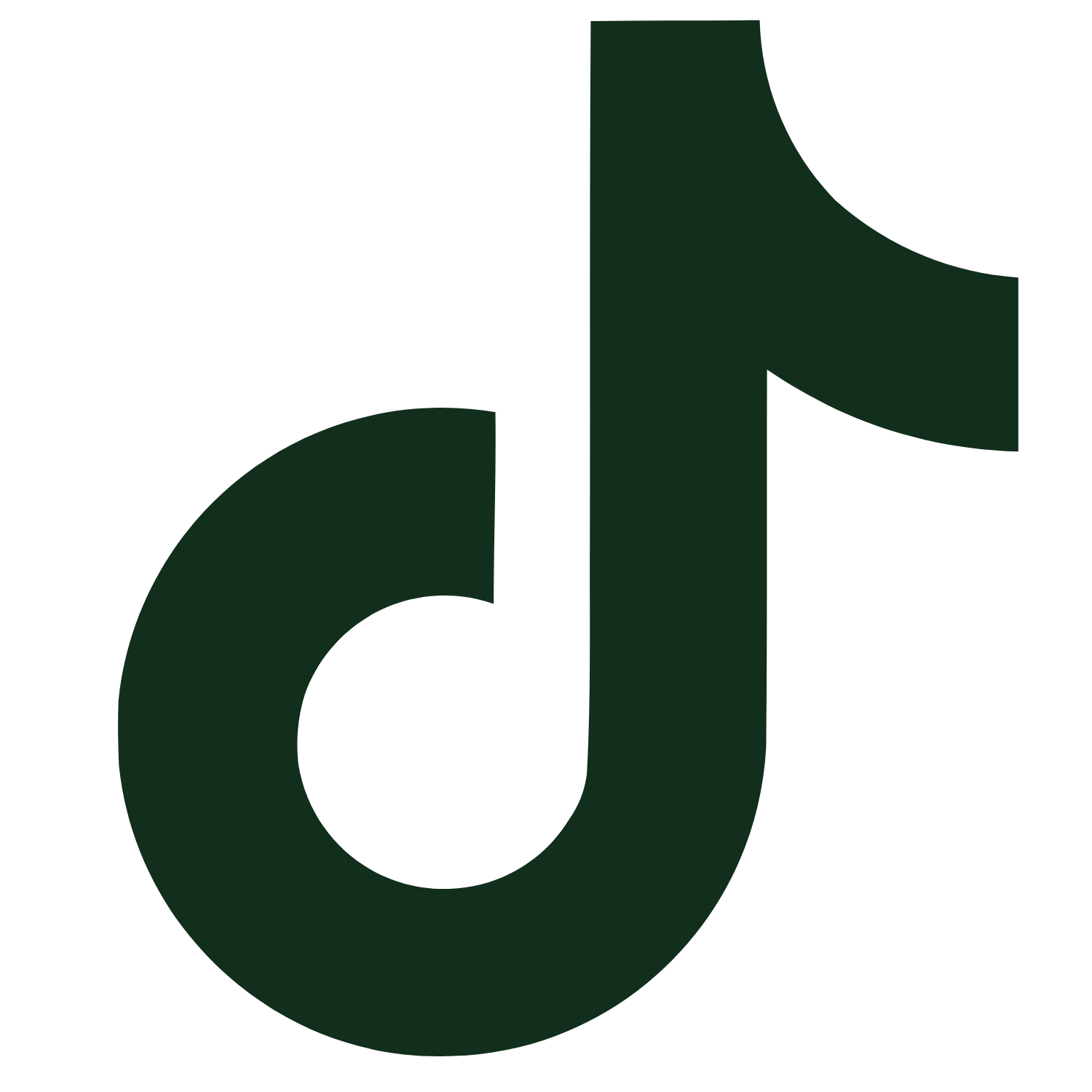 TikTok icon