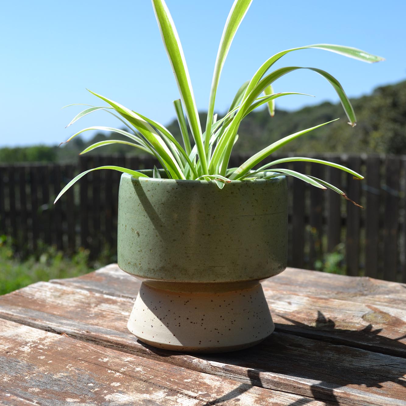 Totem Planter Lake