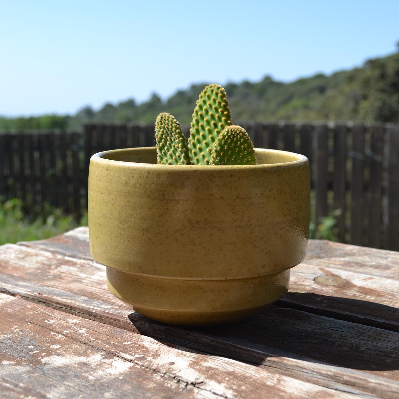 Totem Planter Mustard