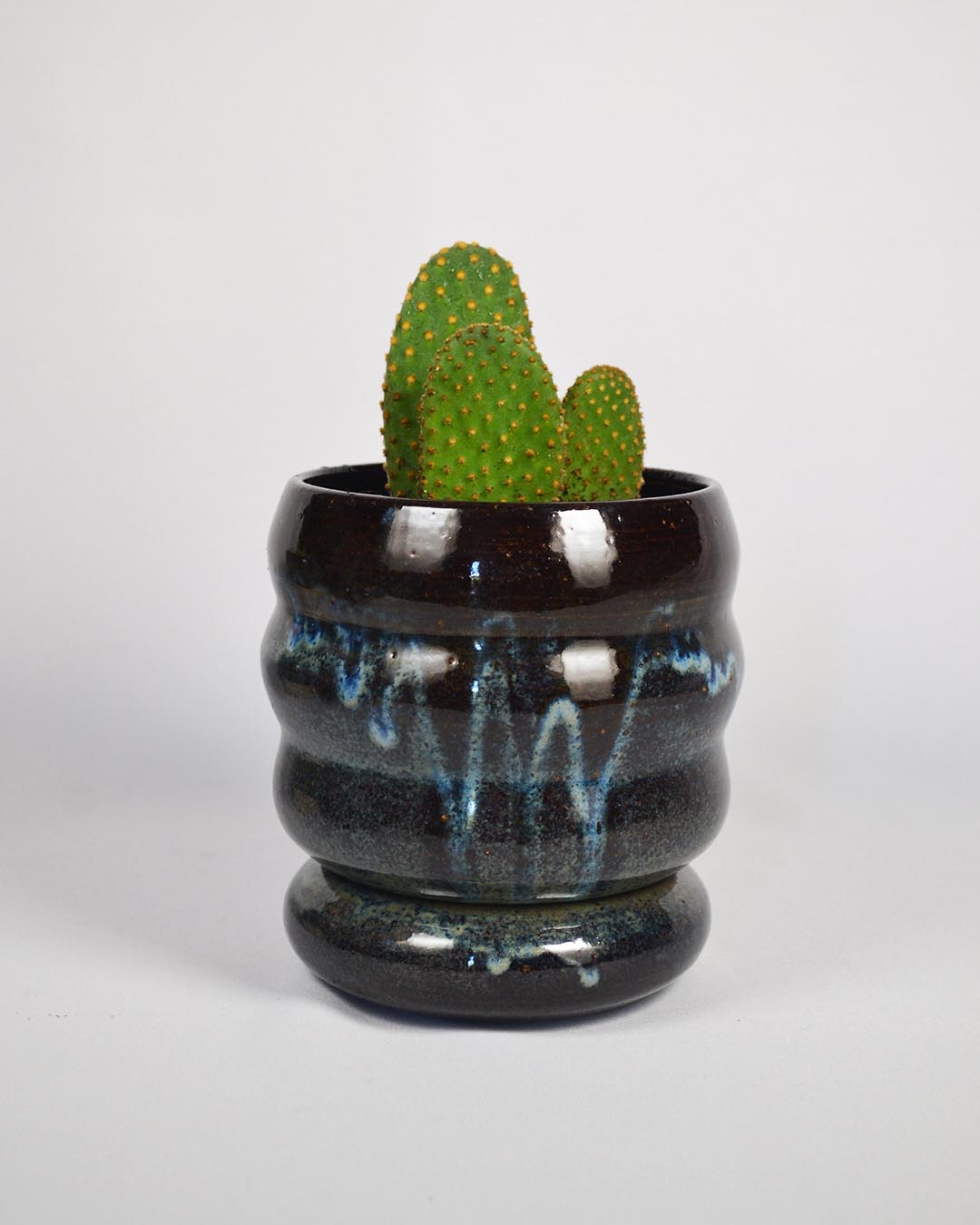Planter Elsa in Lagoon
