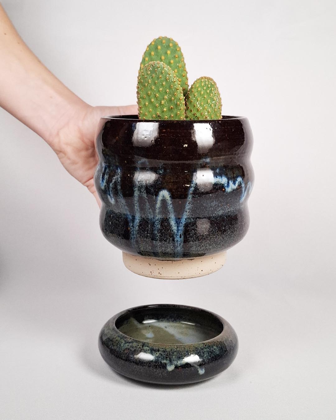 Planter Elsa in Lagoon