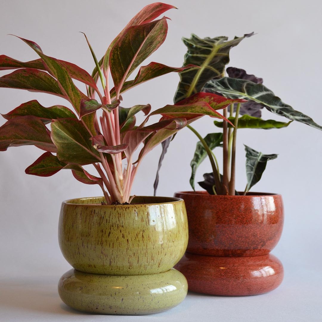 Planters