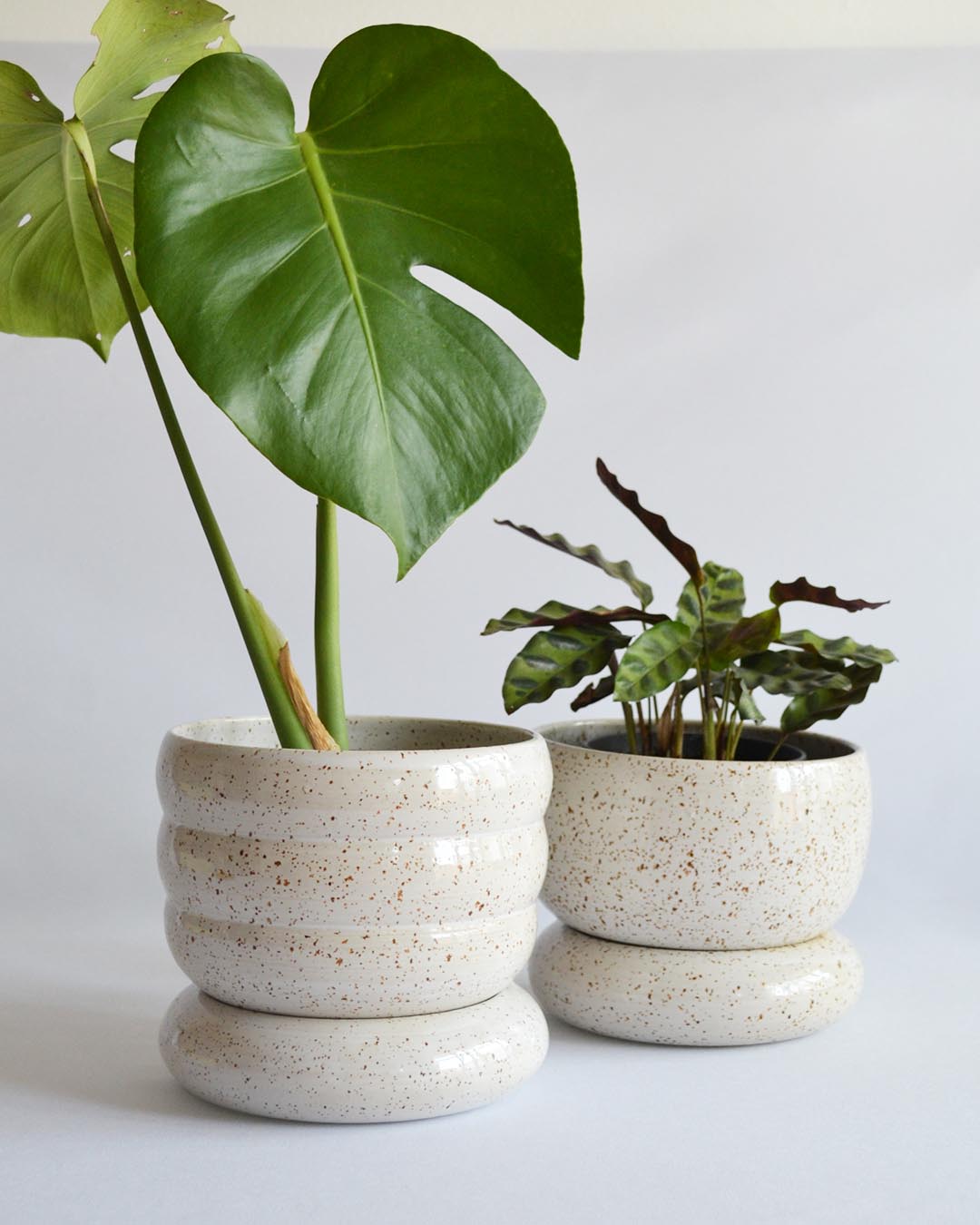 Planter Elsa in Shell - Medium