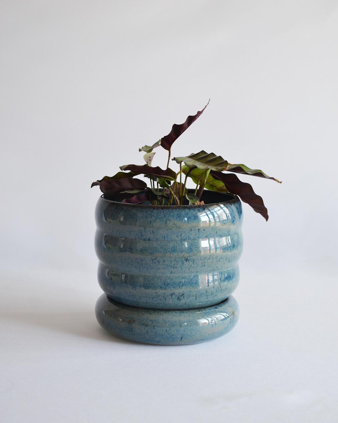 Planter Elsa in Deep Sea - Medium