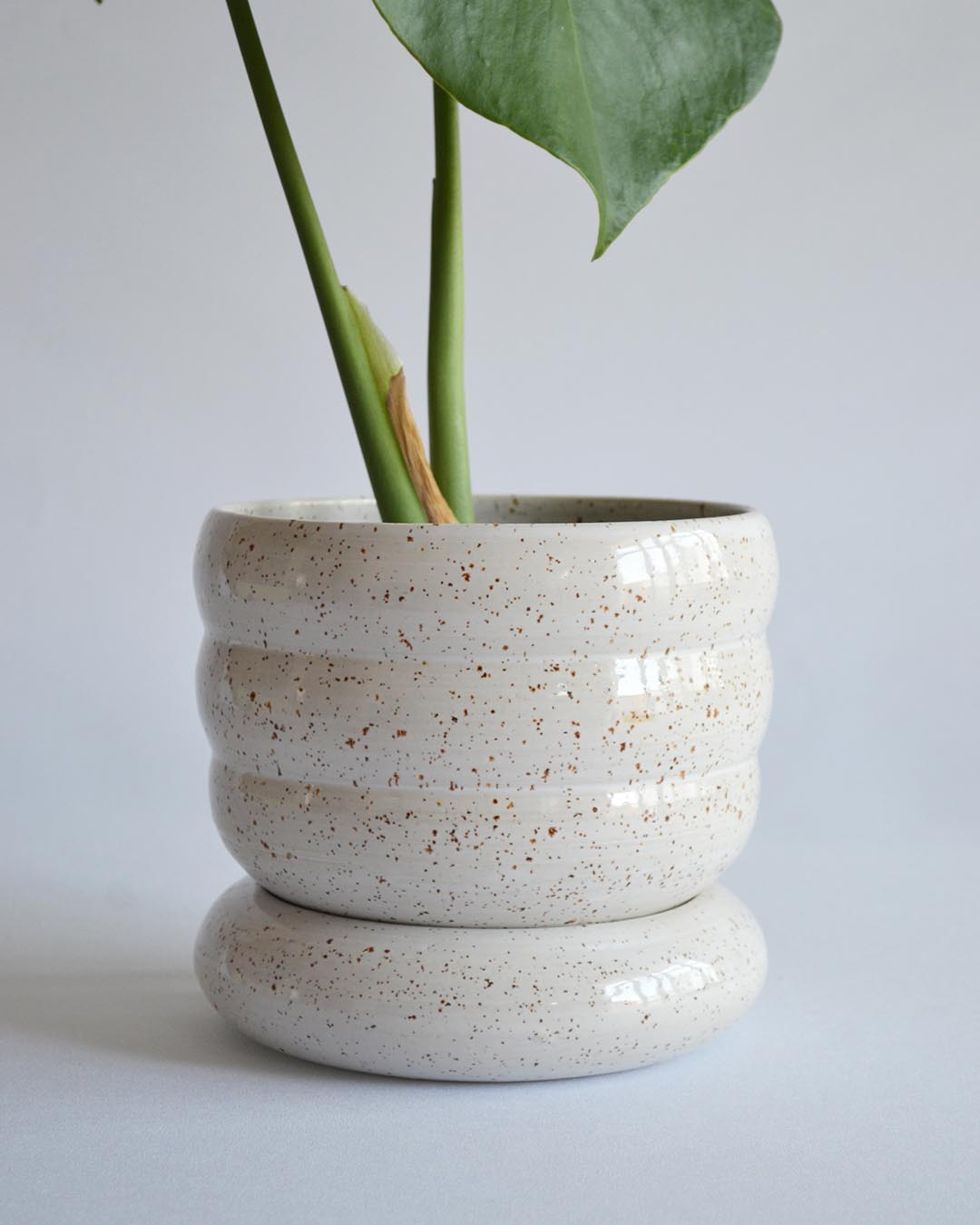 Planter Elsa in Shell - Medium