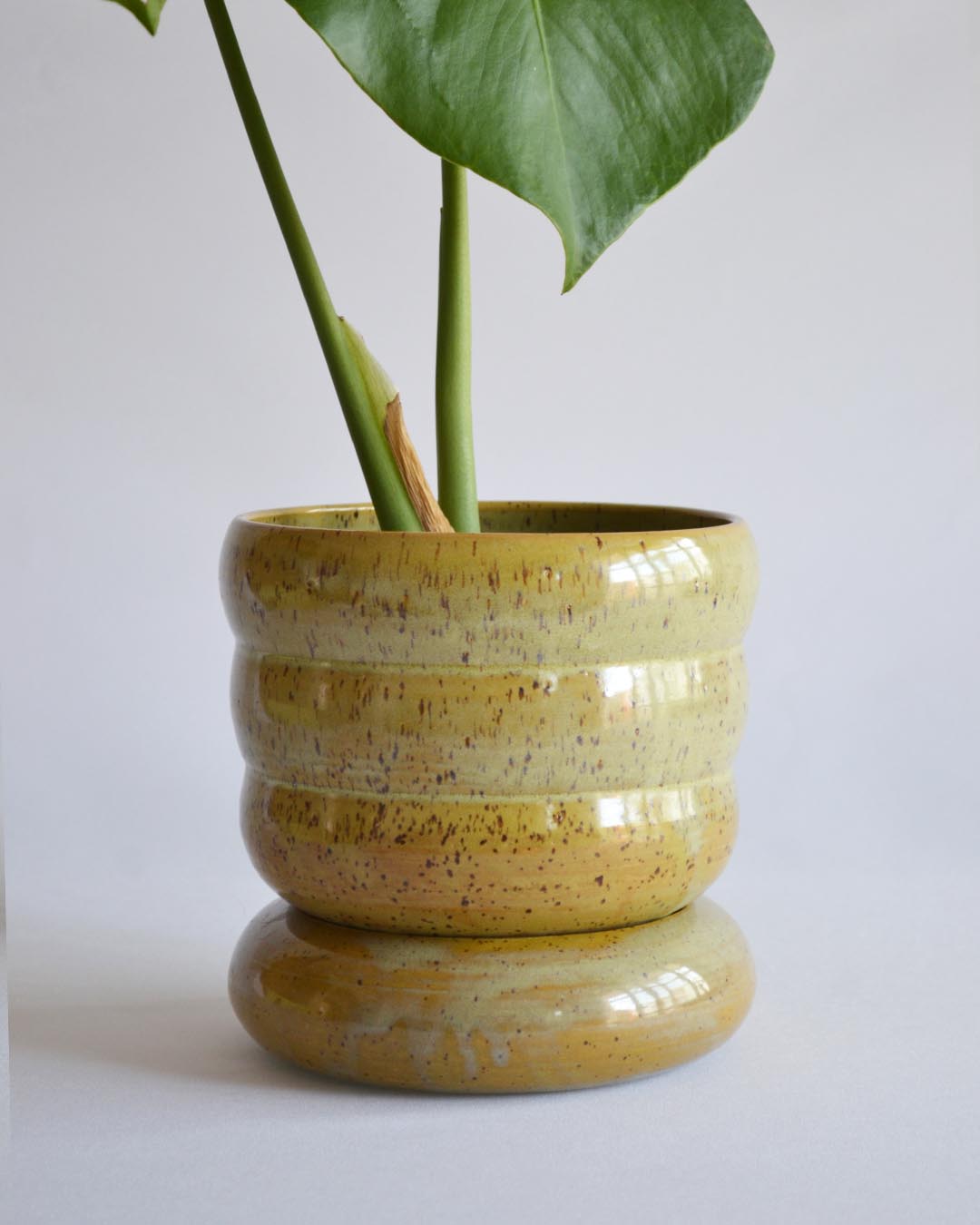 Planter Elsa in Algae - Medium