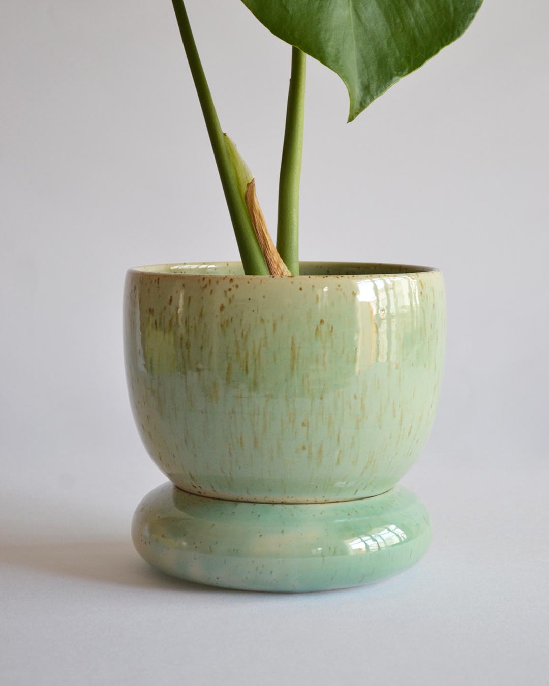 Planter Loïse in Reef - Medium