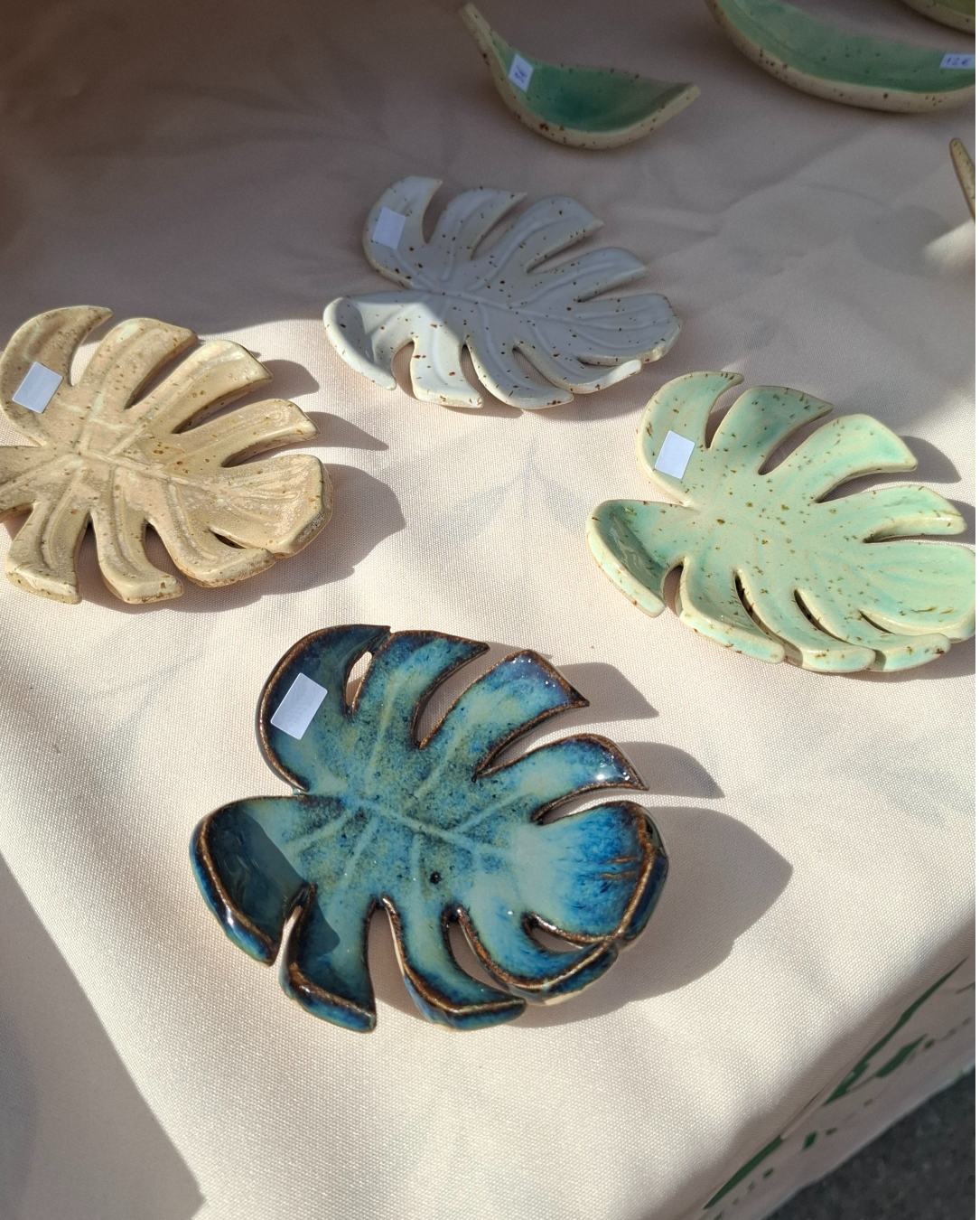 Monstera Dish