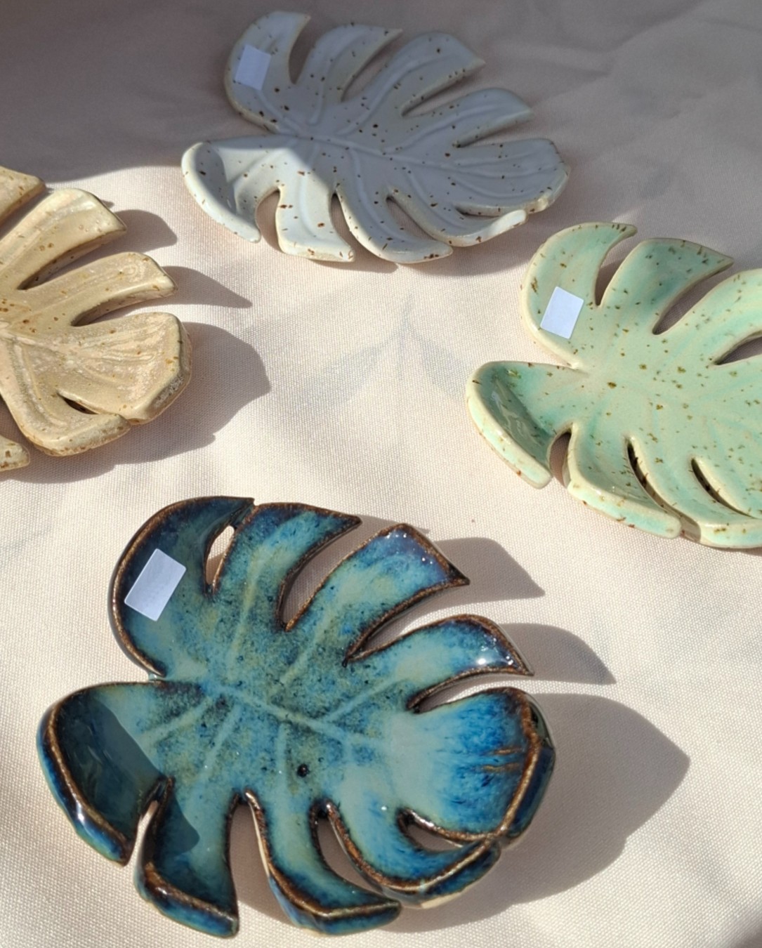 Monstera Dish