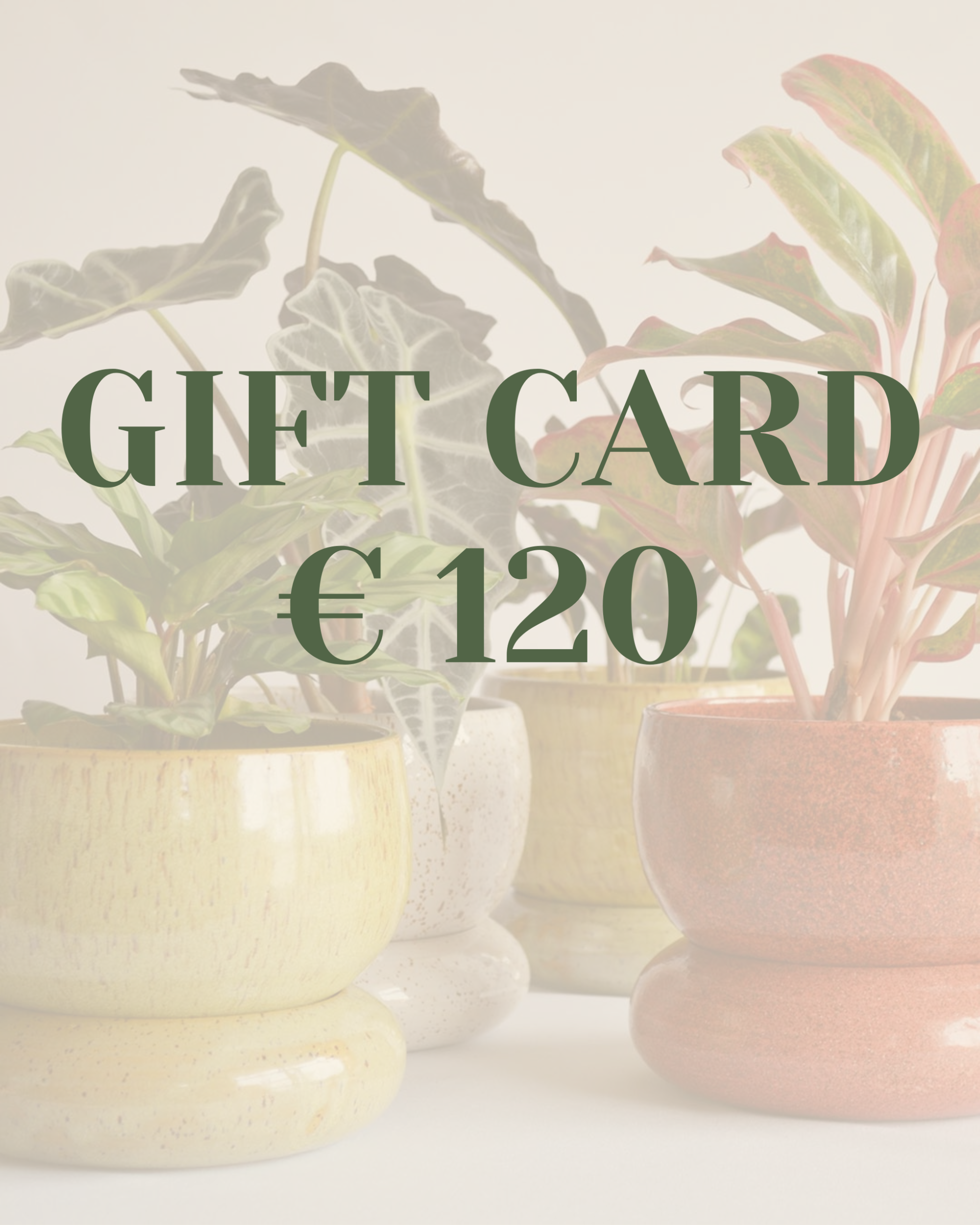 Gift Card 120