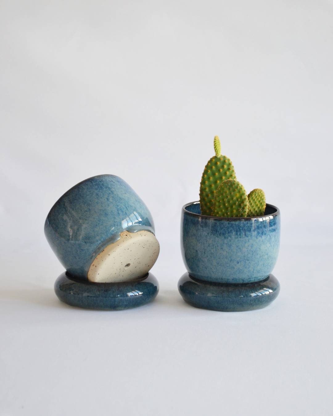 Planter Loïse in Deep Sea - Small