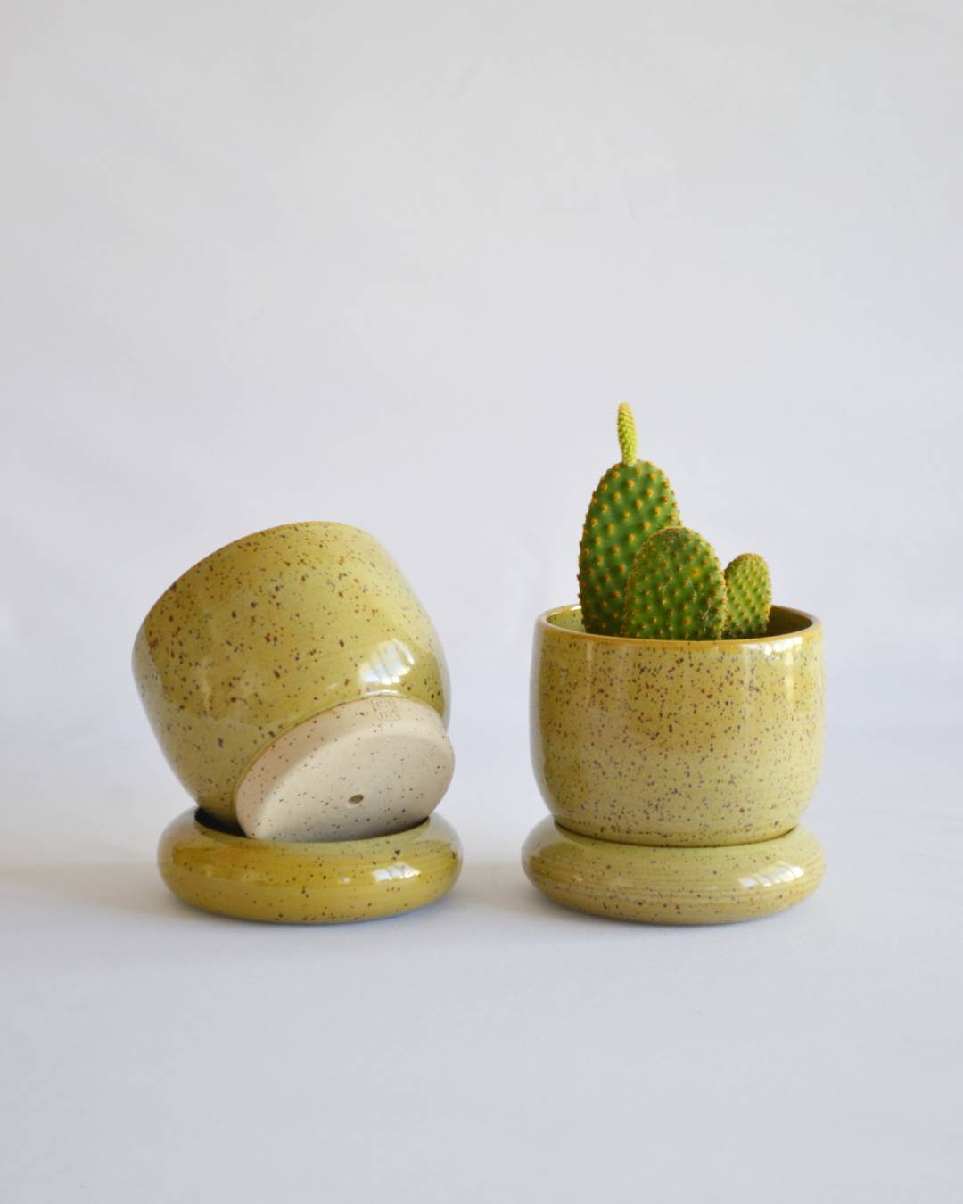 Planter Loïse in Algae - Small