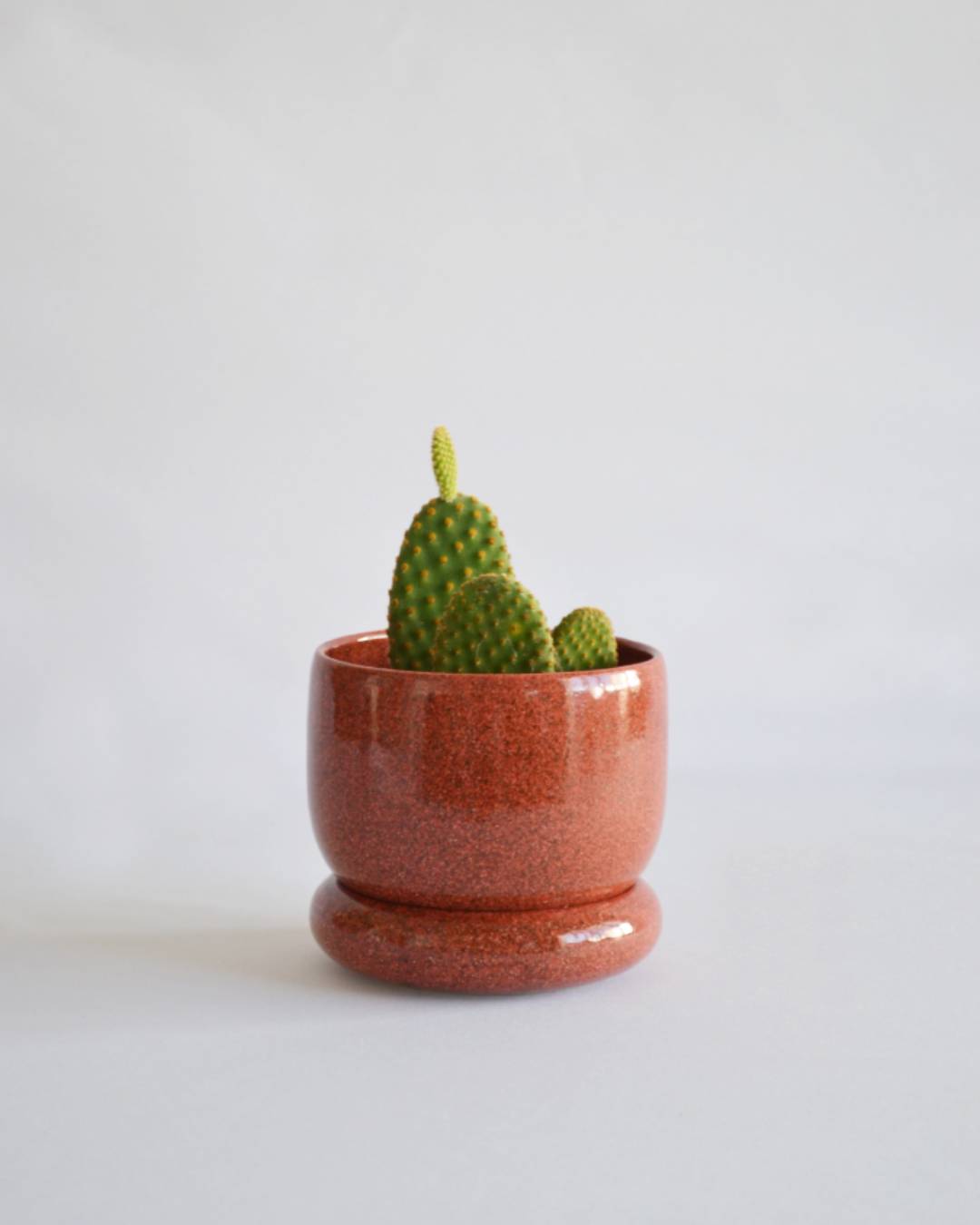Planter Loïse in Coral - Small