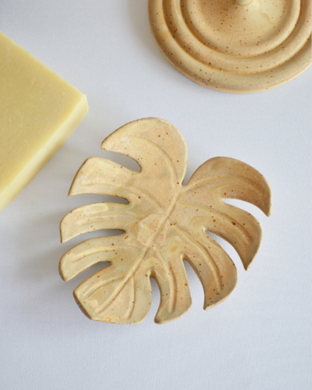Monstera Dish in Dune