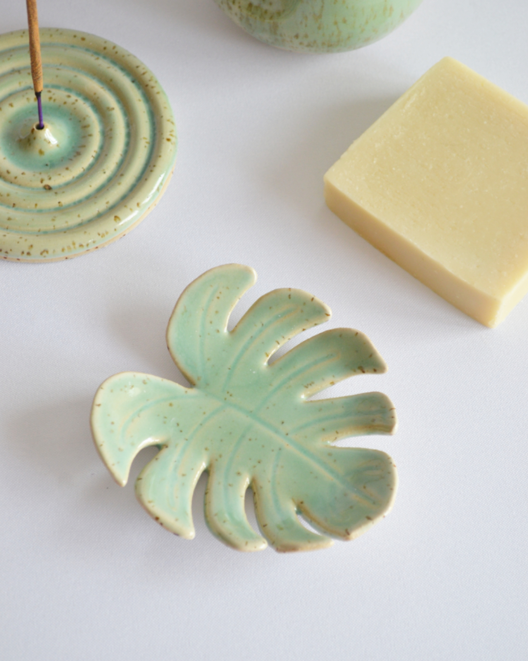 Monstera Dish in Reef