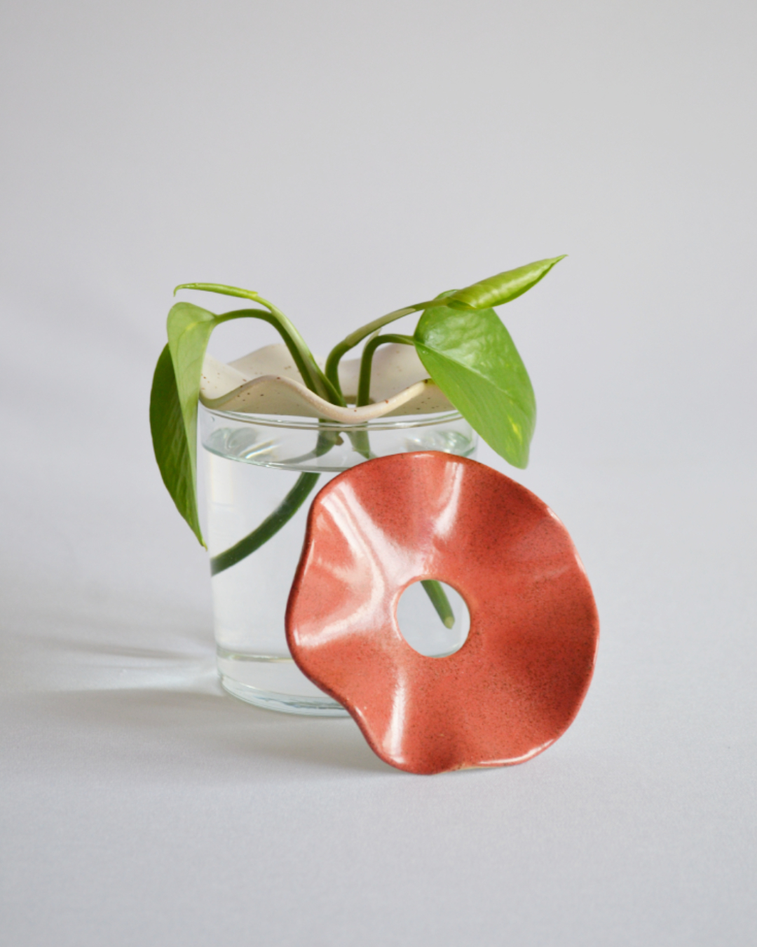 Cutting Support in Coral