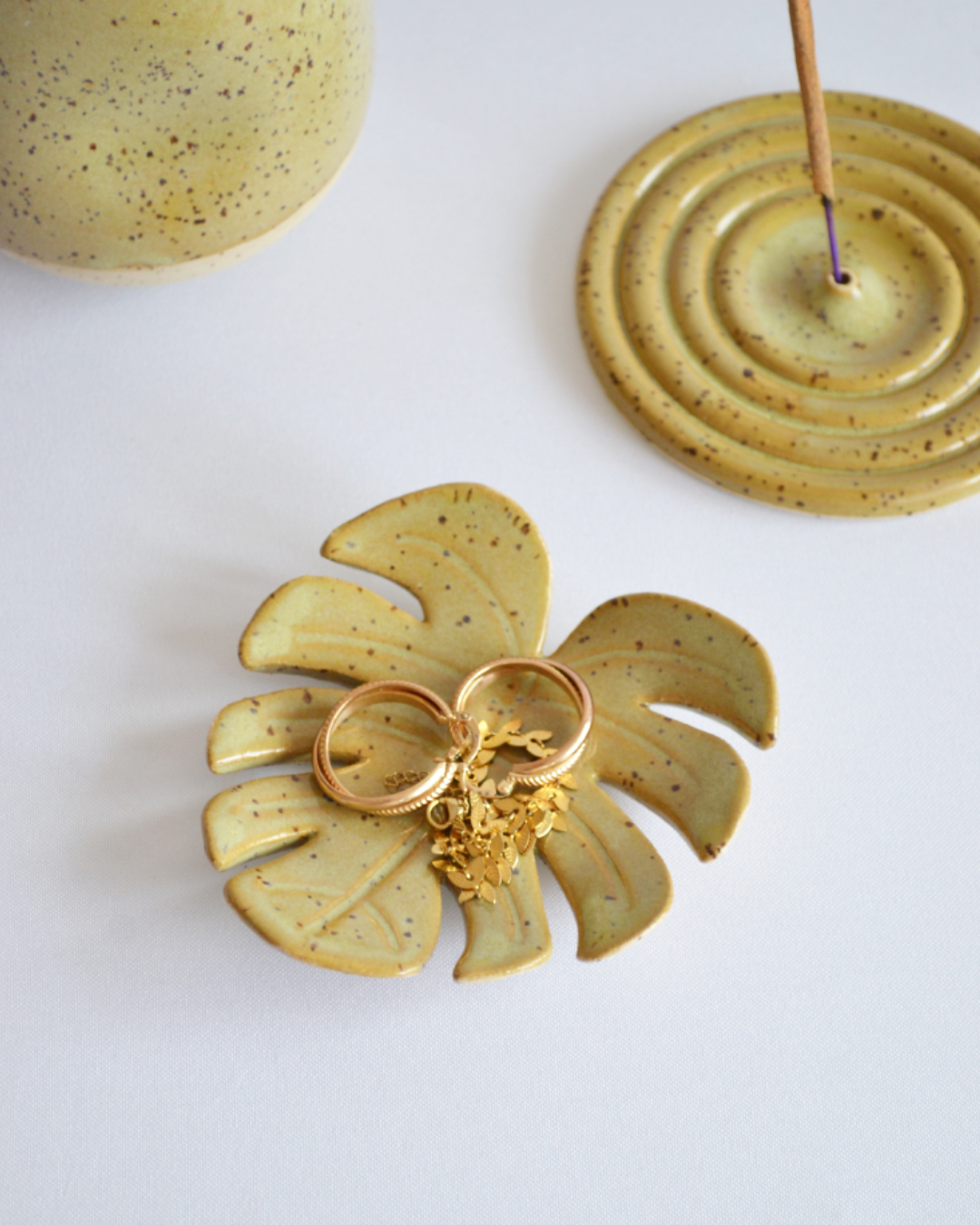 Monstera Dish in Algae