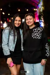 d8676a28-7935-4301-93f7-7debdc56d039.webp