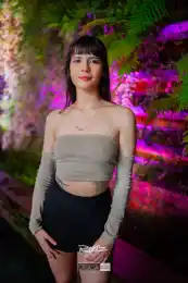 c952737e-7819-4024-85ab-21ed367d55dc.webp