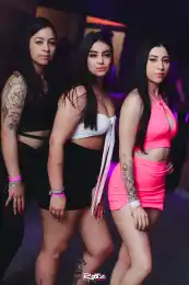 f7e88005-35ec-4f82-8e08-678c5c305904.webp