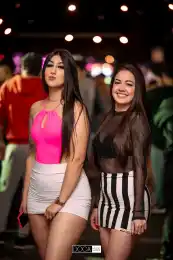 a5d78ad8-12da-4249-a710-28d6496fd21d.webp