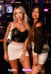 9bc983d6-673d-4dcf-aac8-fe39143135a7.webp