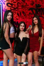 6e120df4-3153-43f3-aa88-d5656f3feb2f.webp
