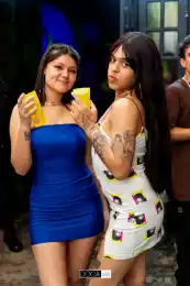 e97bb958-134d-4c96-995b-33aa13c8191b.webp