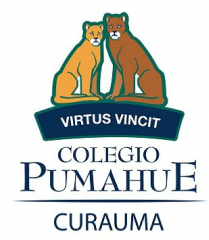 Logotipo de la institución