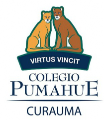 Logotipo del colegio