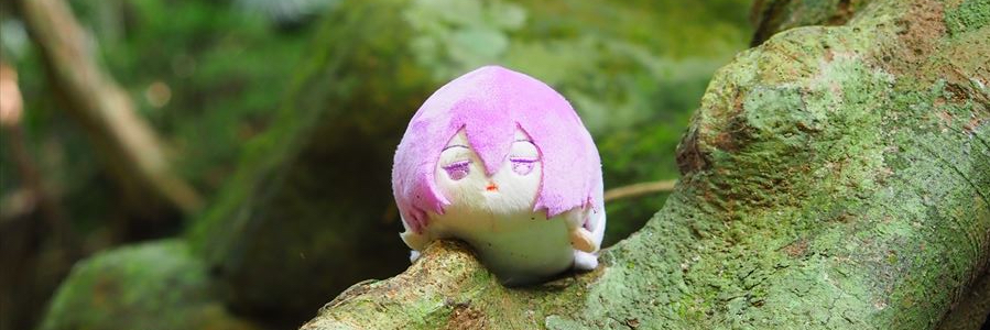 header image