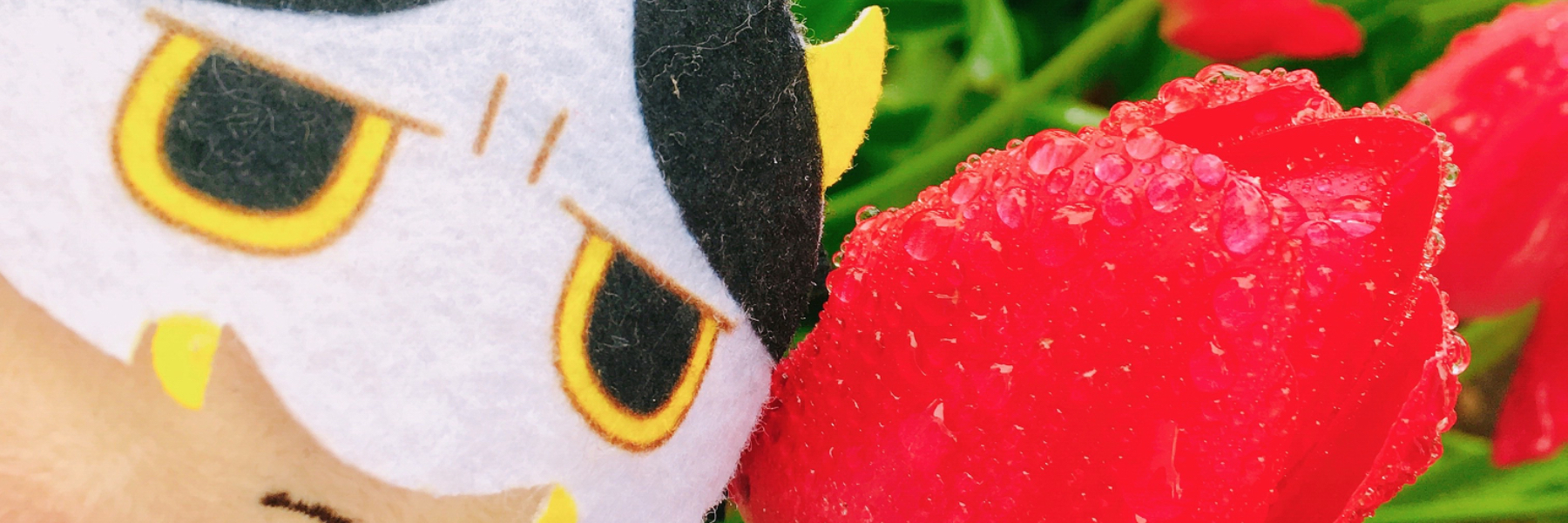 header image