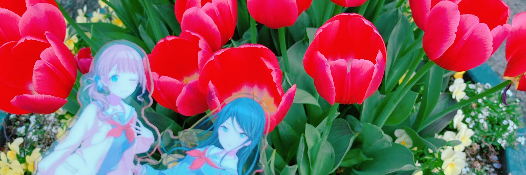 header image