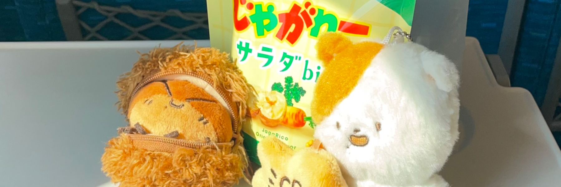 header image