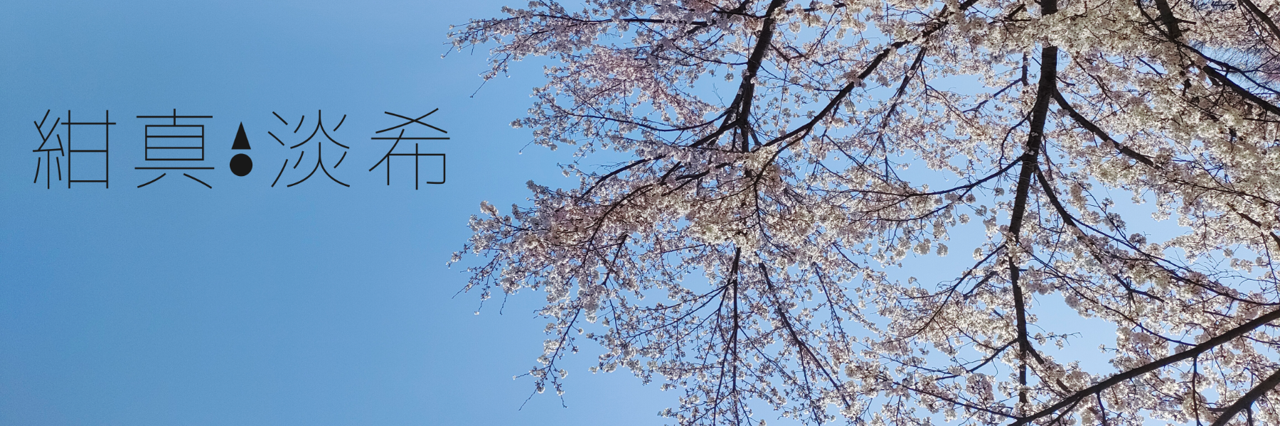 header image
