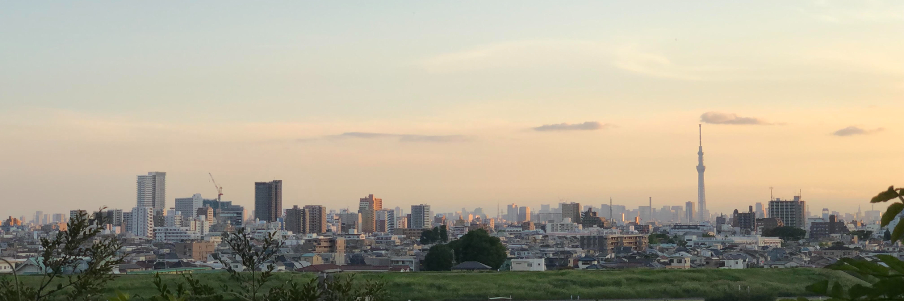 header image
