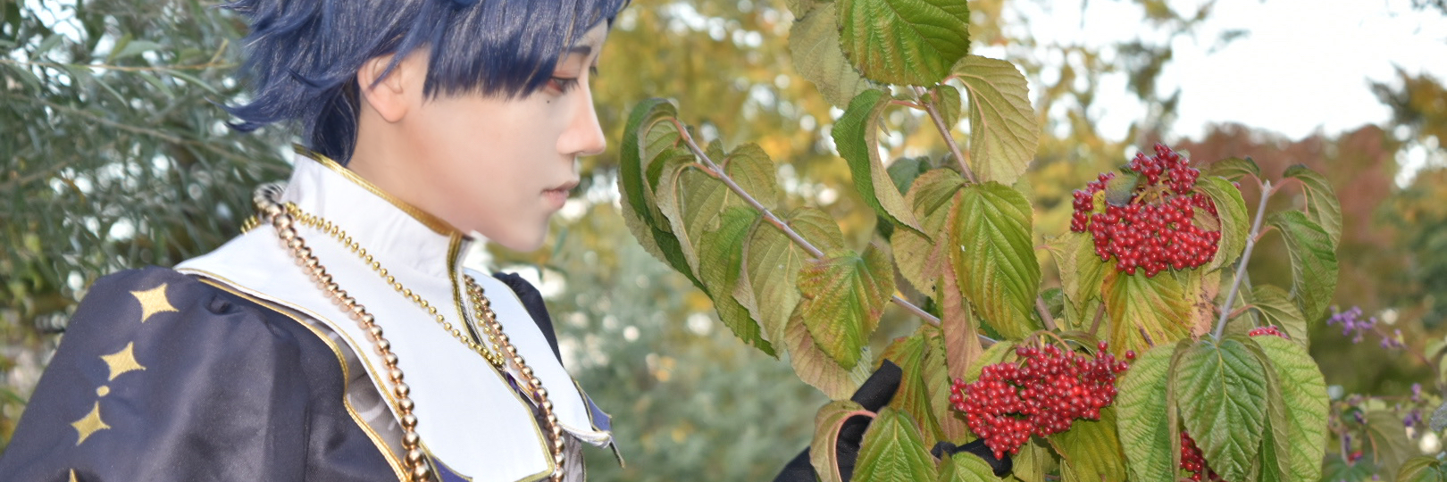 header image
