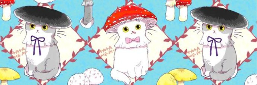 header image