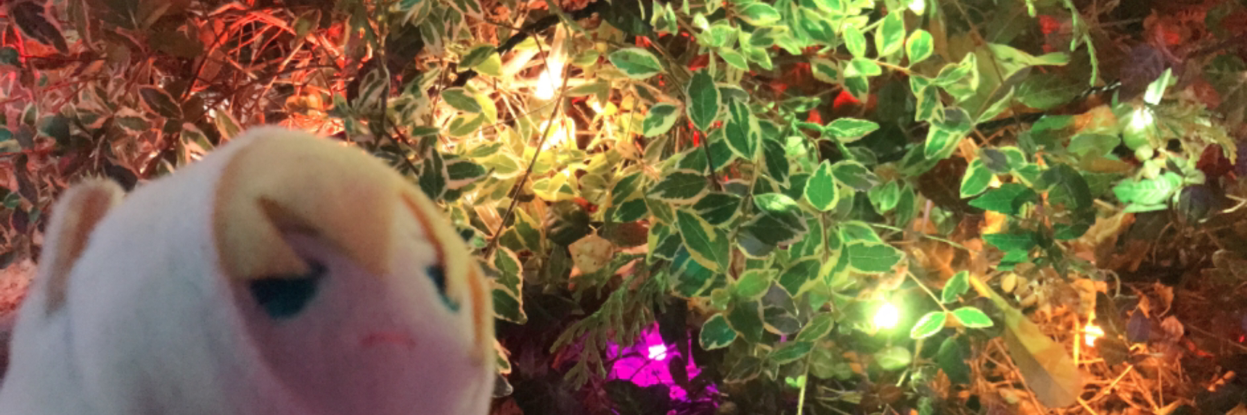 header image