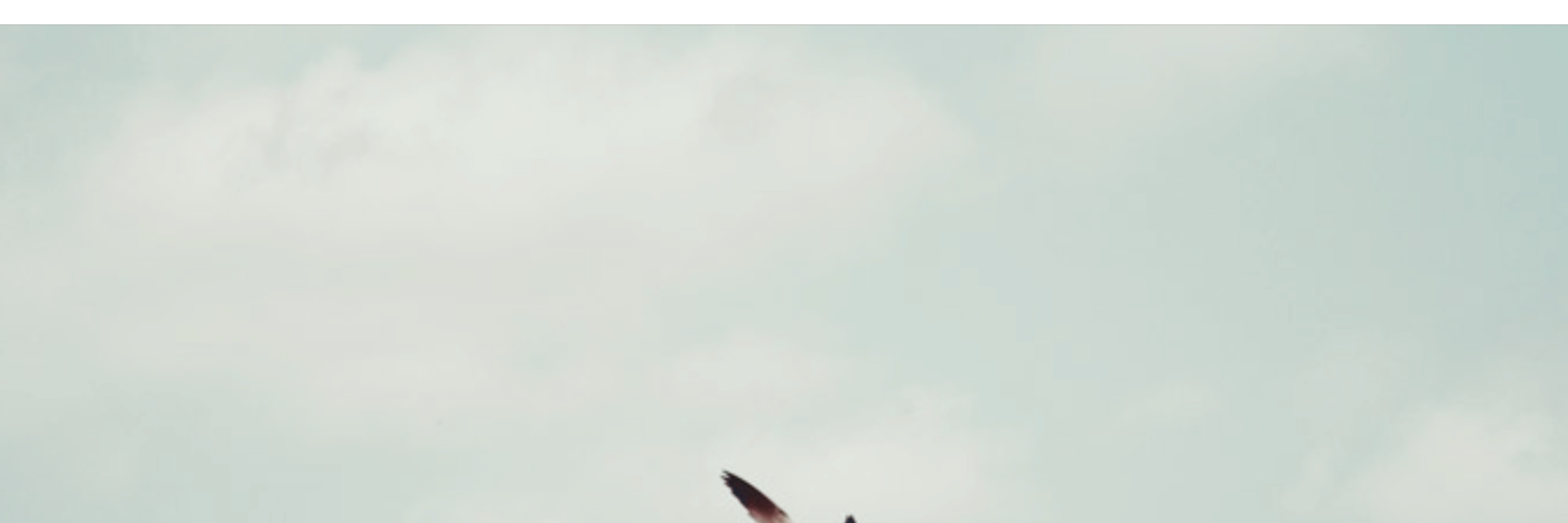 header image